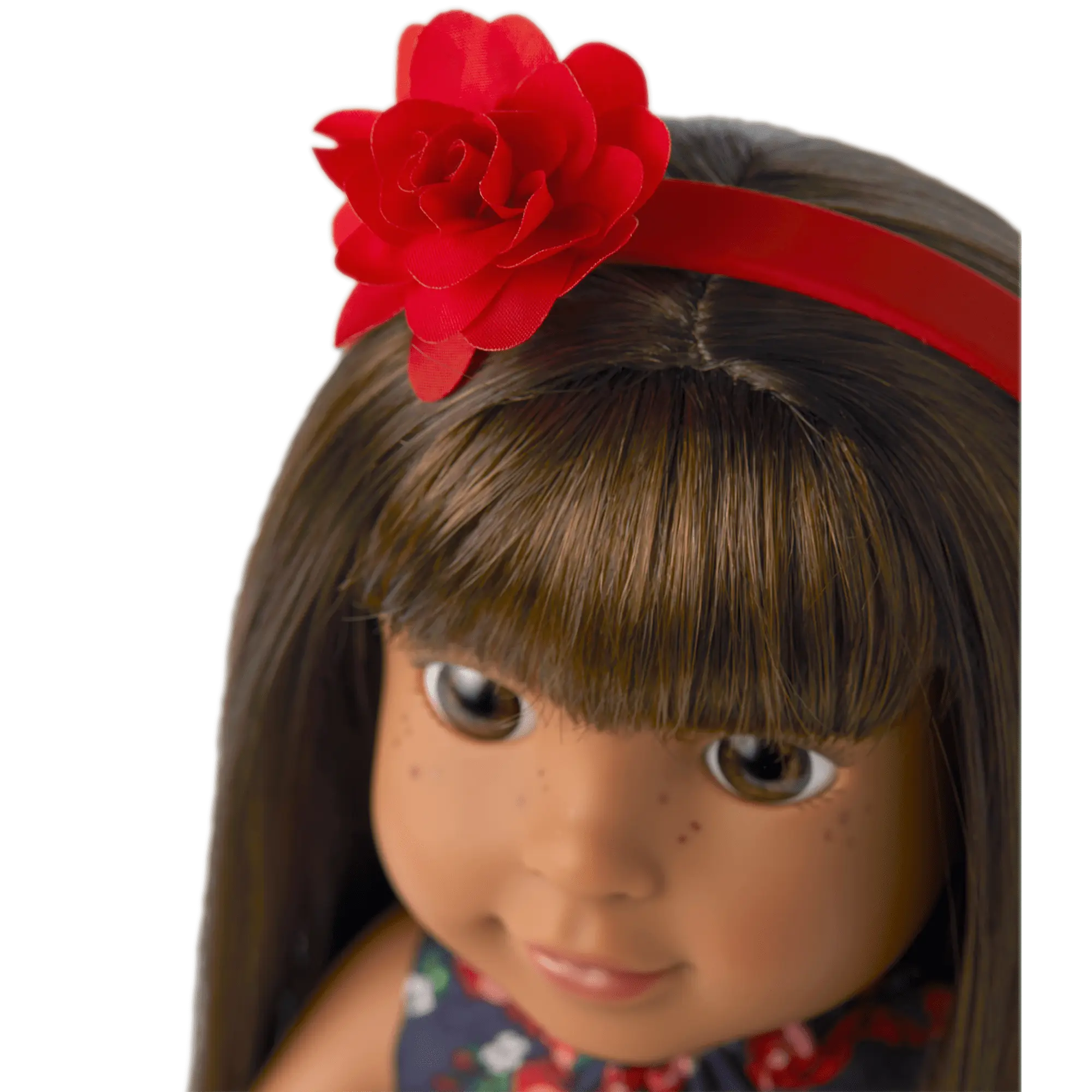 American Girl X Janie And Jack Wrapped In Roses Party Dress For Welliewishers Dolls - Image 11