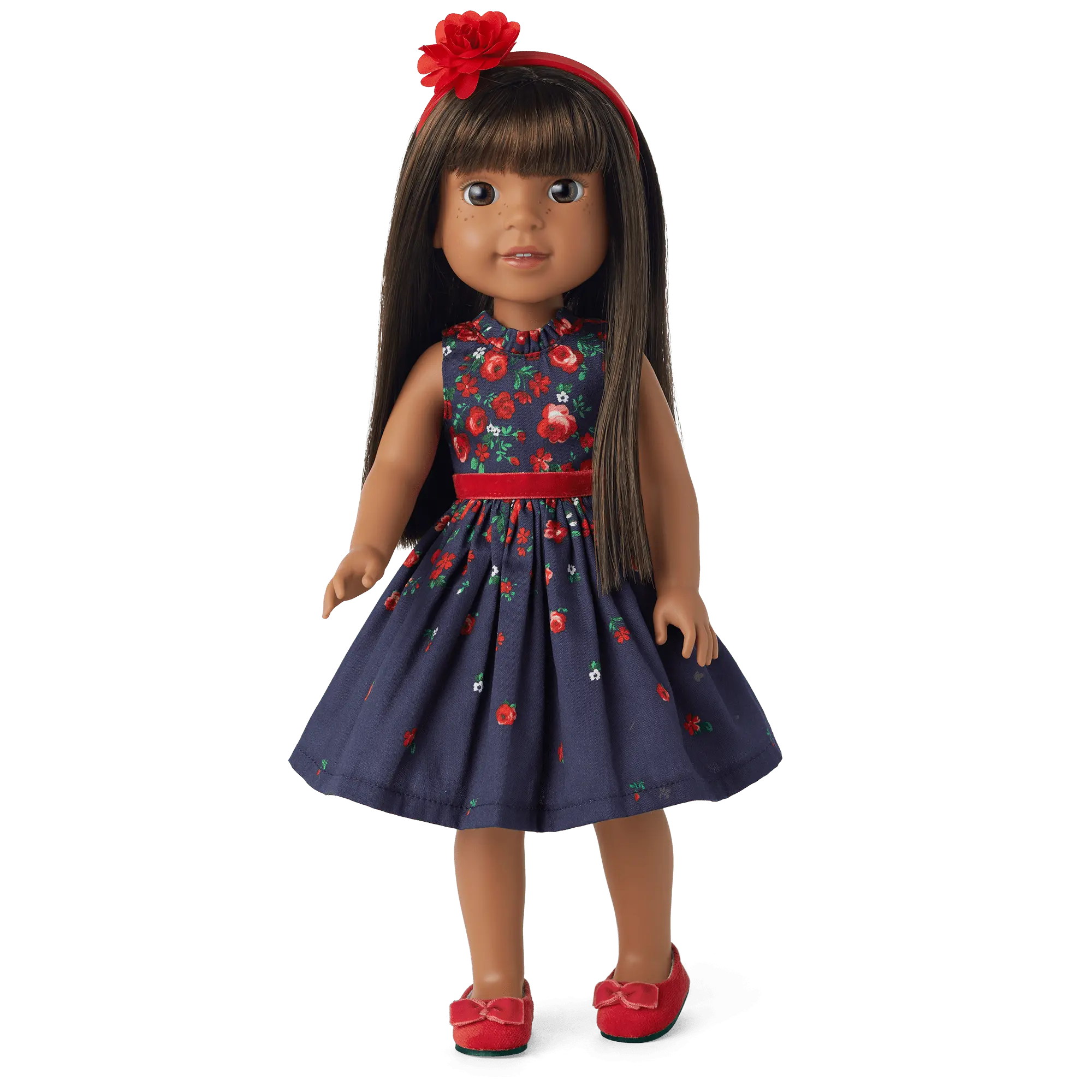 American Girl X Janie And Jack Wrapped In Roses Party Dress For Welliewishers Dolls - Image 9