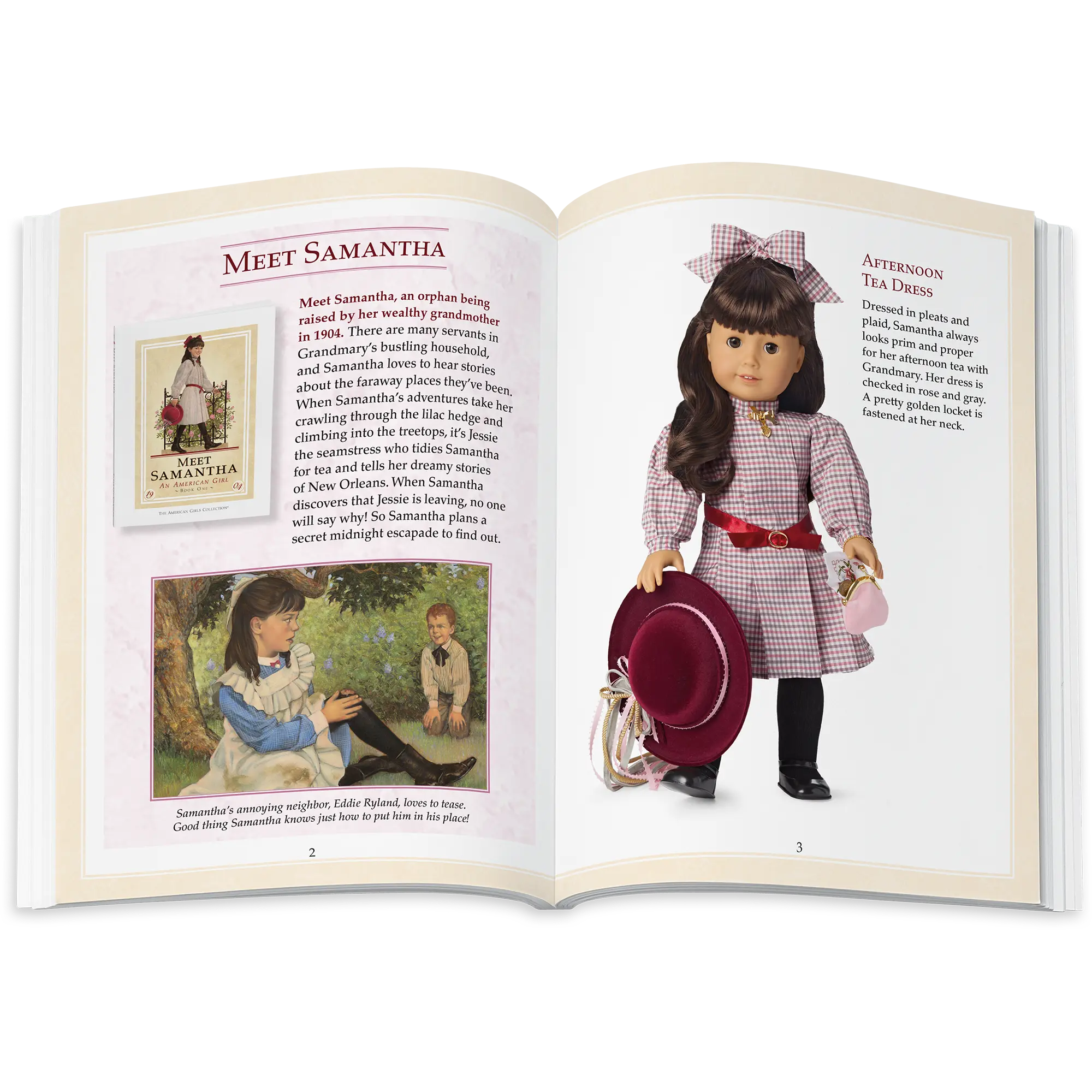 Samantha Parkington 18-Inch Doll, Book & Accessories (Historical Characters) - Image 15