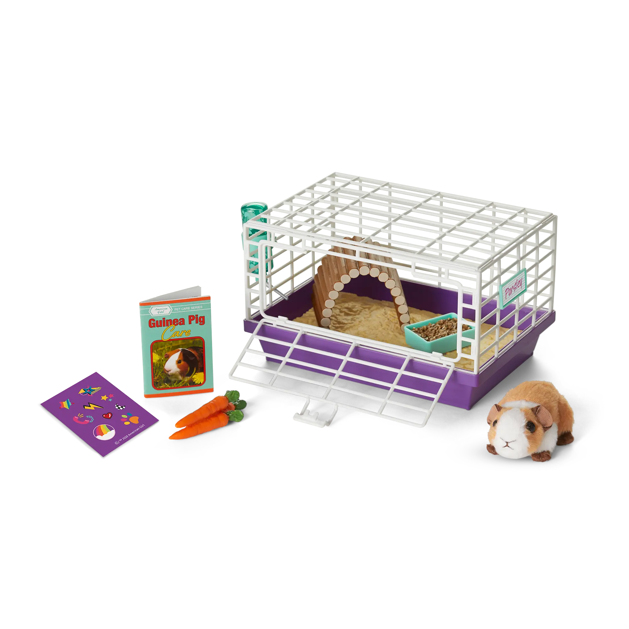 Courtney's Guinea Pig (Historical Characters)