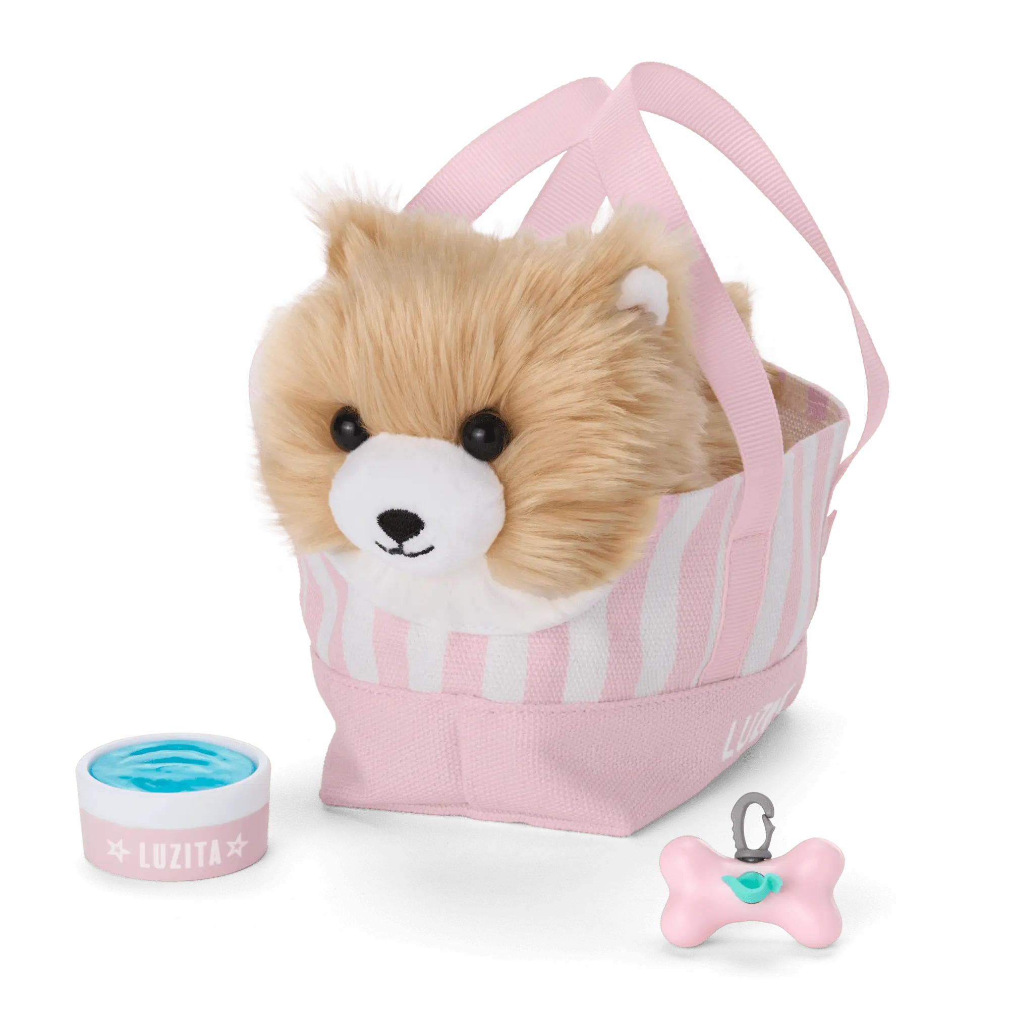 Raquel's Dog, Luzita (Girl Of The Year 2026) - Image 4