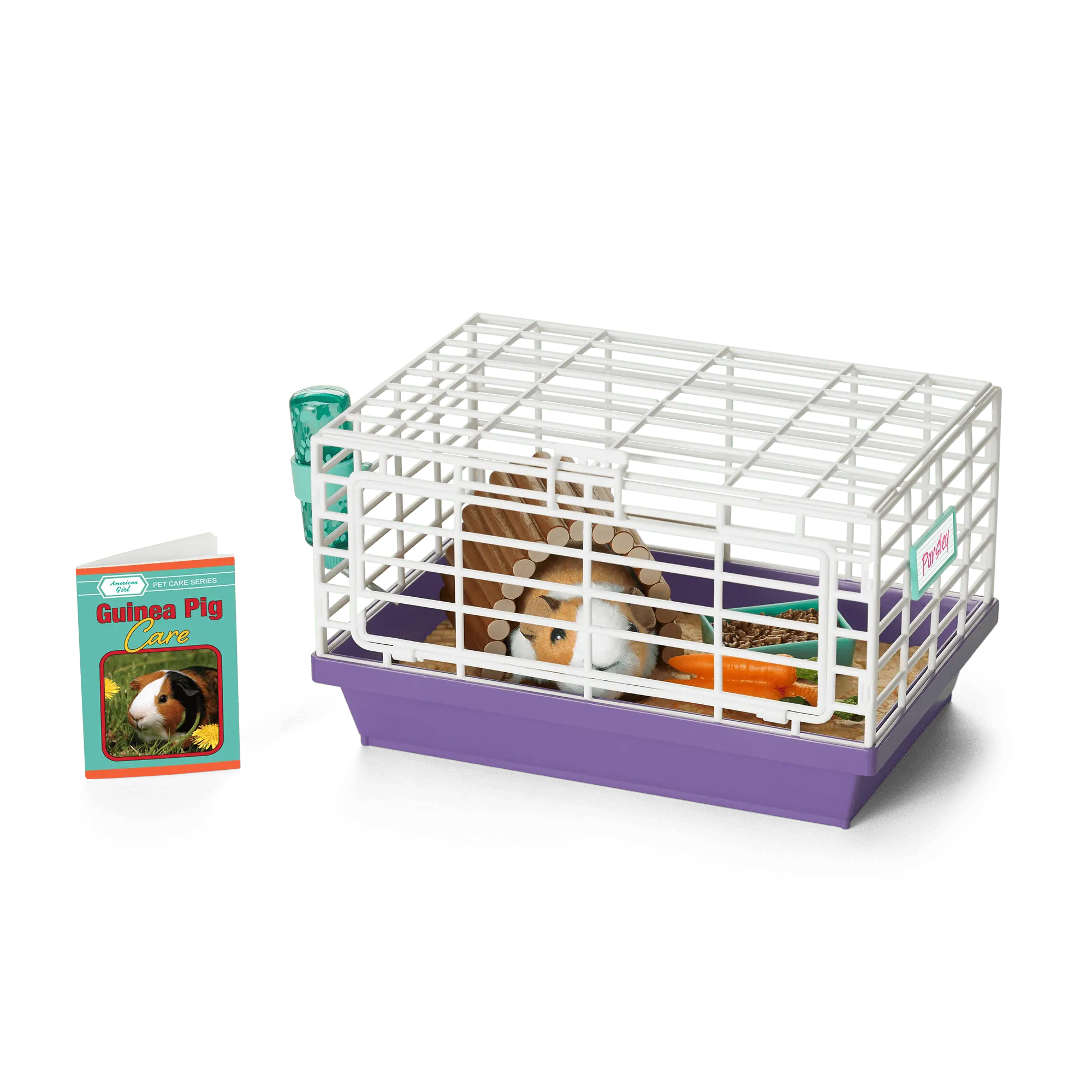 Courtney's Guinea Pig (Historical Characters) - Image 2