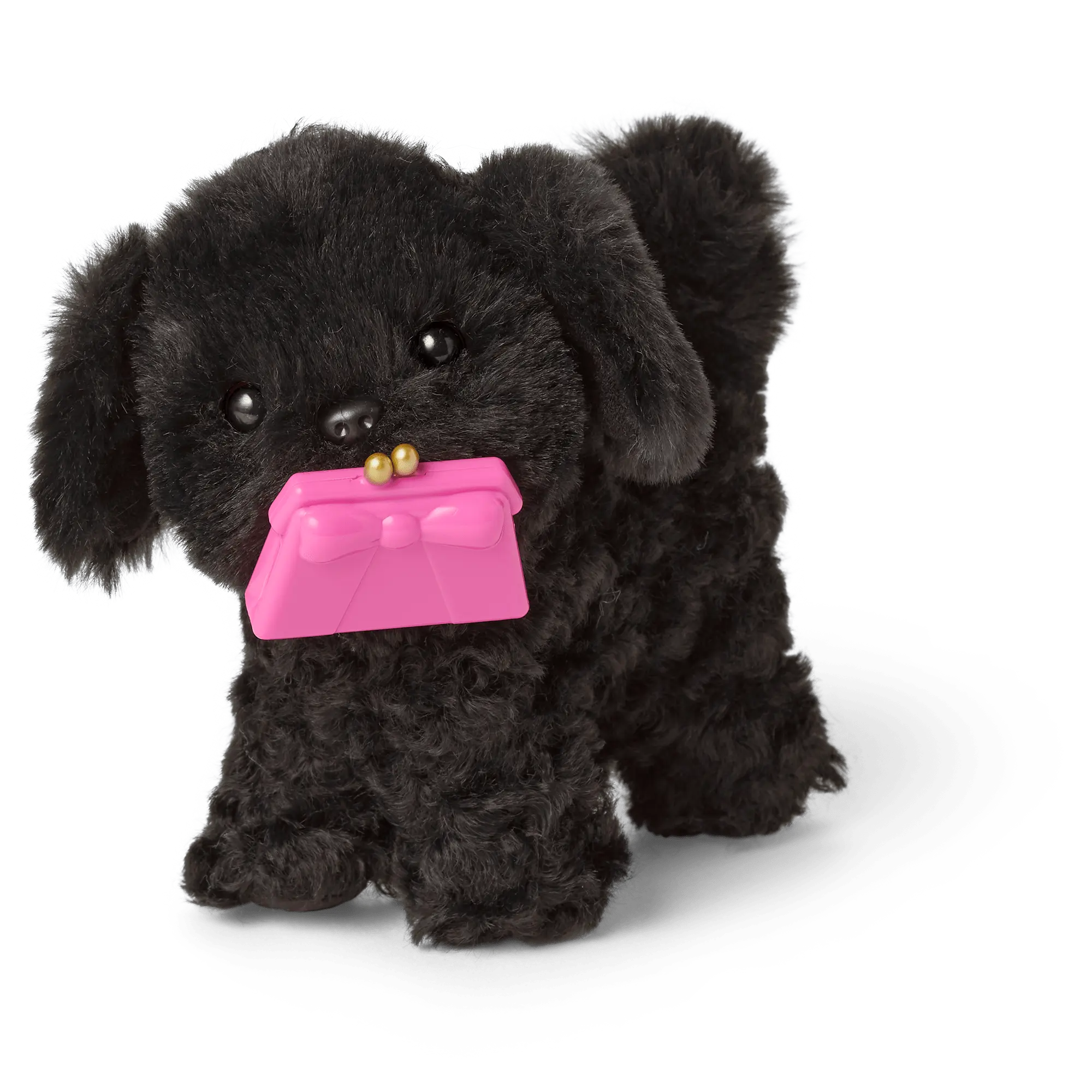 Shi-Poo Sweetie Dog Bundle - Image 5