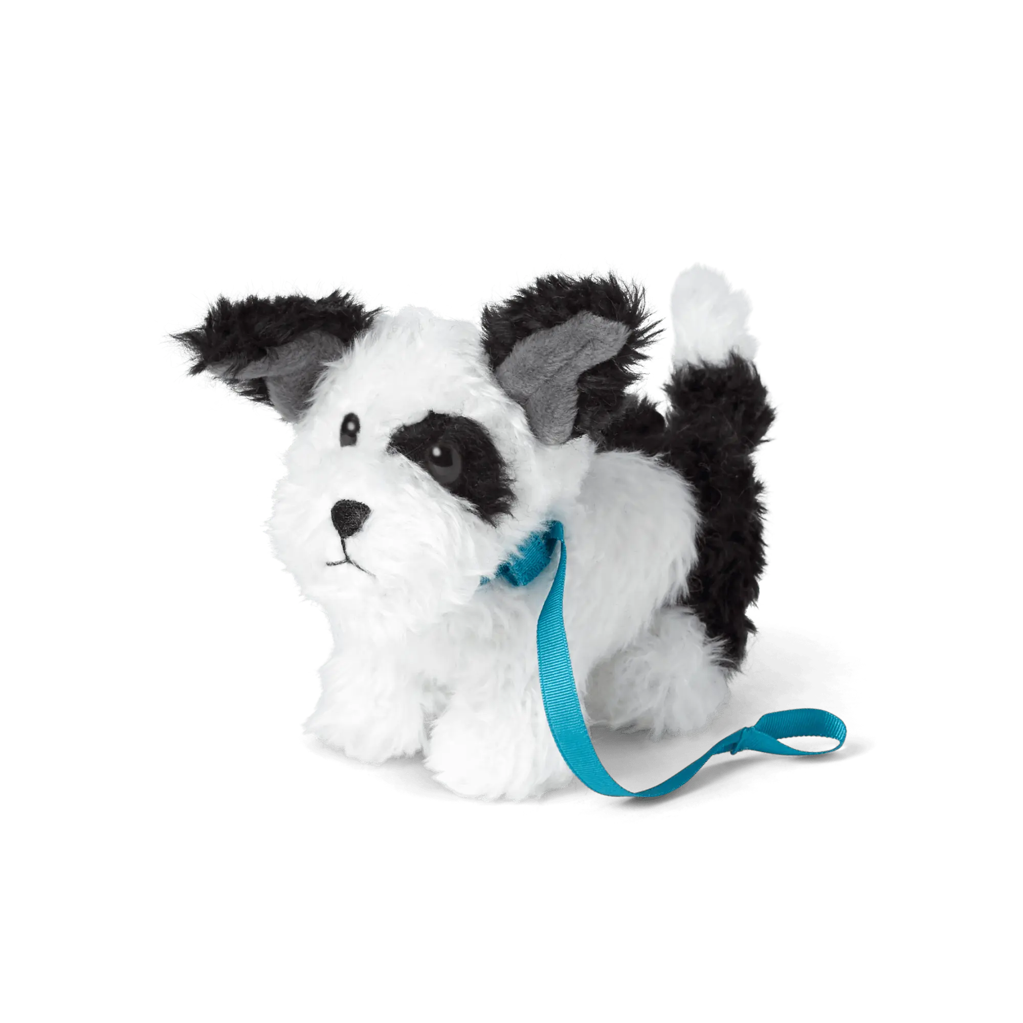 Melody's Dog, Bo (Historical Characters)